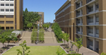 名城大学 薬学部